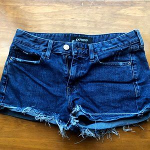 Express Shortie Relaxed Low Rise Jean Shorts
